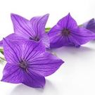 山口ライト 真理子