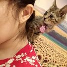 なかむら えりな