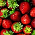 erika.0508mam@gmail.com