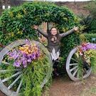 あらさき ななこ