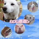 SAKUYA KOUKI shine life代表取締役