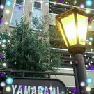 やまがみ きょうこ