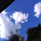 ふらんちぇすか