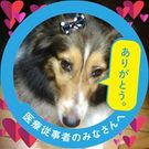 さいとう さなえ