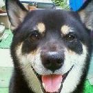 こーじたに じたり