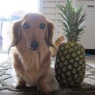 Masako Teraguchi Mukai