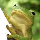 株式会社はぐくみ幸房