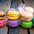 ナカムラ 中村知己