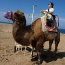 山根　ウォルシュ 明理