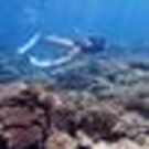 Akiko Kawauchi Kariya