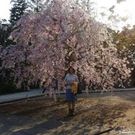 かずこ たけうち