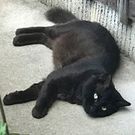 とみひさ かよこ