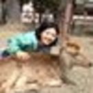 Miharu Sakuragi Teranishi