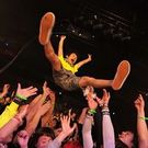 スパイスカリーハルモニア