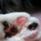 Miyako Sakamoto (テリー)