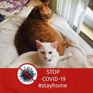 土山 荒巻 芙美