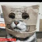 たけうち ももこ