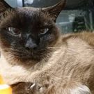 はるみ みやうち