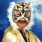 たなか かげとら